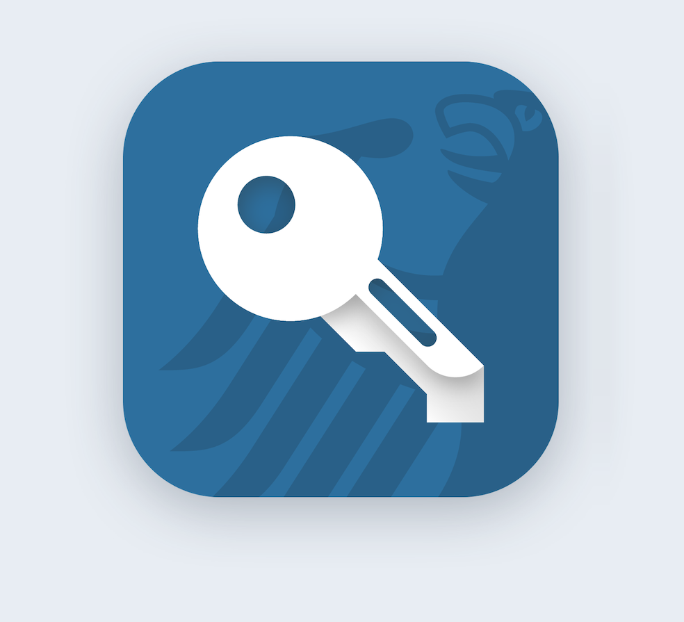 Icon von Zoll-Ident.